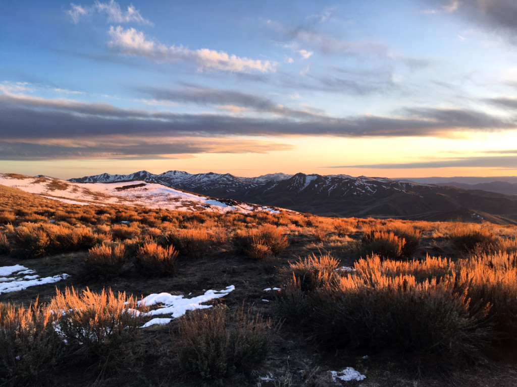 Trout Creek Mountains – Oregon Desert Land Trust