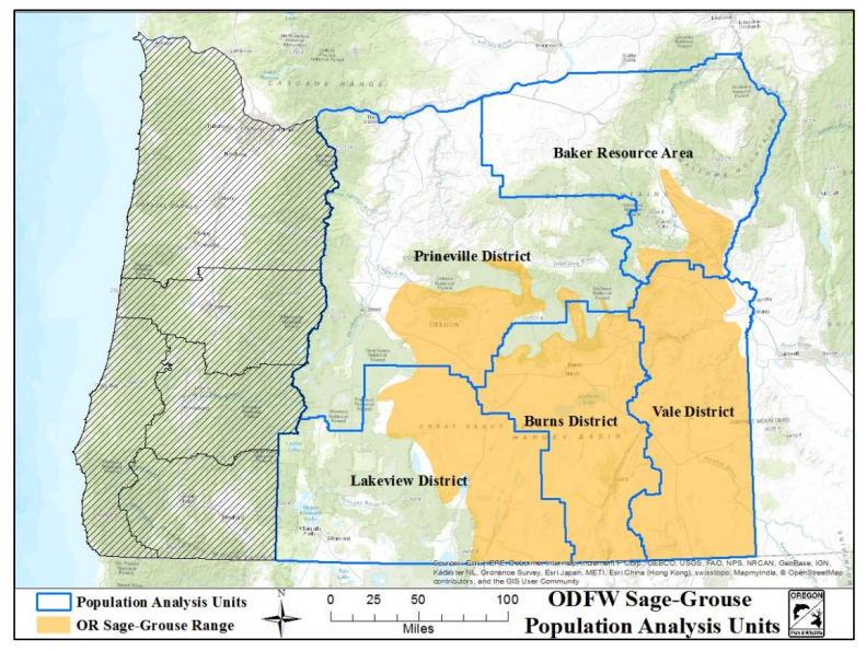 Balancing a range of concerns – Oregon Desert Land Trust