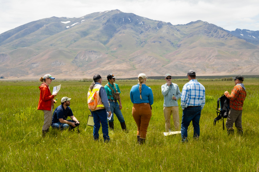 Spreading Wings In Conservation – Oregon Desert Land Trust